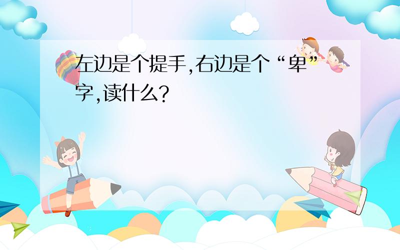 左边是个提手,右边是个“卑”字,读什么?