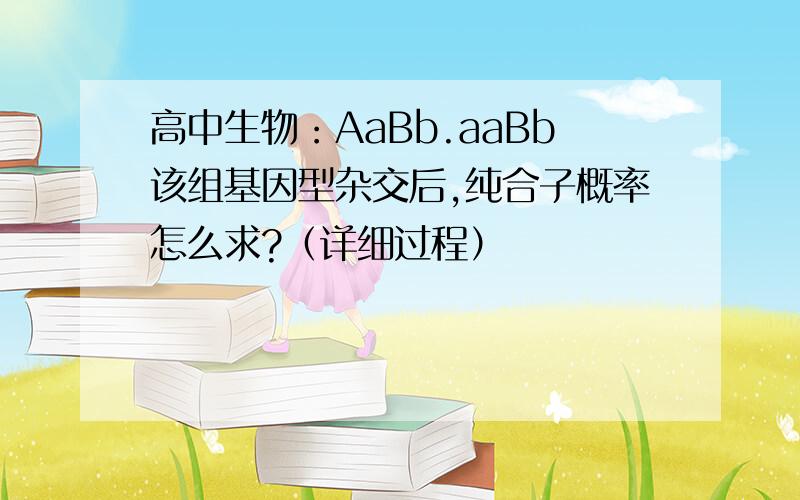 高中生物：AaBb.aaBb该组基因型杂交后,纯合子概率怎么求?（详细过程）