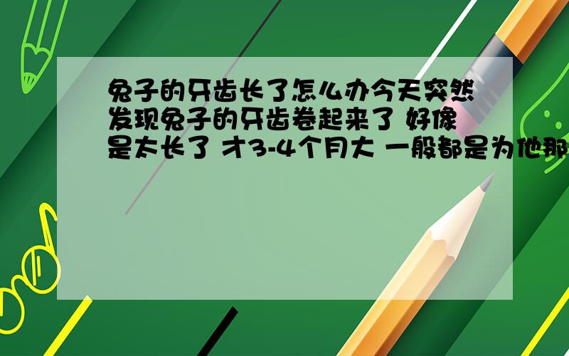 兔子的牙齿长了怎么办今天突然发现兔子的牙齿卷起来了 好像是太长了 才3-4个月大 一般都是为他那种很硬的粮食的不知道怎么