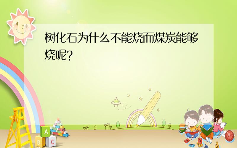 树化石为什么不能烧而煤炭能够烧呢?