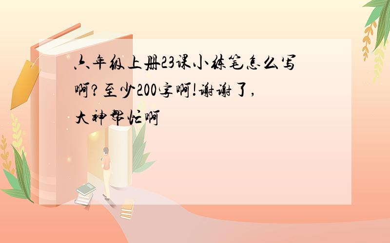 六年级上册23课小练笔怎么写啊?至少200字啊!谢谢了,大神帮忙啊