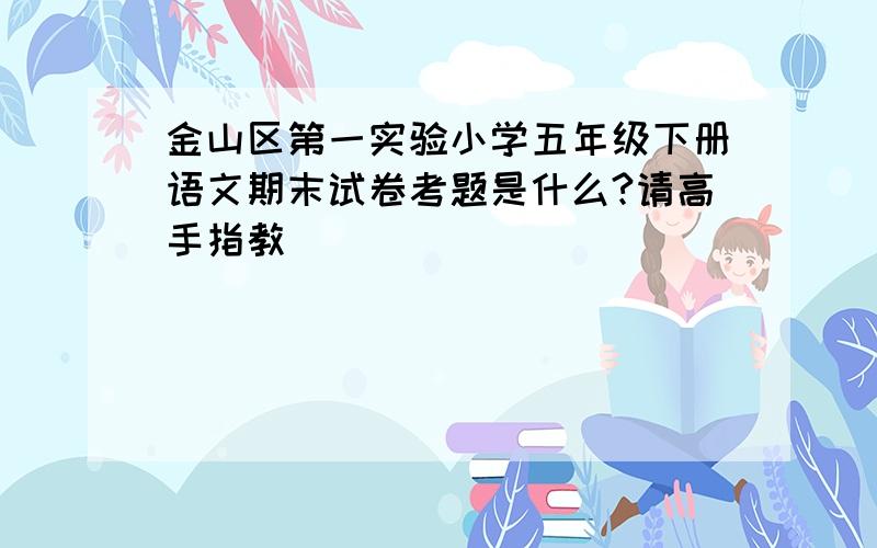 金山区第一实验小学五年级下册语文期末试卷考题是什么?请高手指教