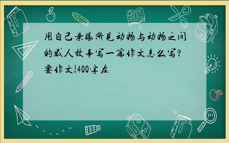 用自己亲眼所见动物与动物之间的感人故事写一篇作文怎么写?要作文!400字左