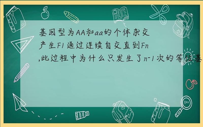 基因型为AA和aa的个体杂交产生F1通过连续自交直到Fn,此过程中为什么只发生了n-1次的等位基因分离