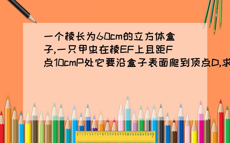 一个棱长为60cm的立方体盒子,一只甲虫在棱EF上且距F点10cmP处它要沿盒子表面爬到顶点D,求甲虫爬行最短距