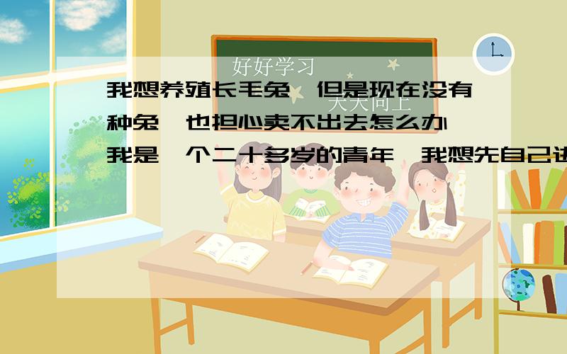 我想养殖长毛兔,但是现在没有种兔,也担心卖不出去怎么办,我是一个二十多岁的青年,我想先自己进行一下试点,然后带动乡亲们,