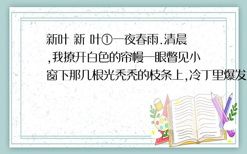 新叶 新 叶①一夜春雨.清晨,我撩开白色的帘幔一眼瞥见小窗下那几根光秃秃的枝条上,冷丁里爆发出些淡绿、鹅黄色的嫩芽.