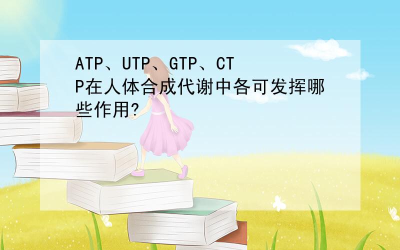 ATP、UTP、GTP、CTP在人体合成代谢中各可发挥哪些作用?