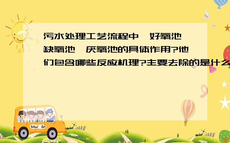 污水处理工艺流程中,好氧池,缺氧池,厌氧池的具体作用?他们包含哪些反应机理?主要去除的是什么?