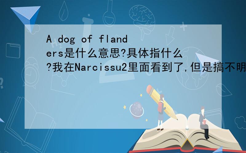 A dog of flanders是什么意思?具体指什么?我在Narcissu2里面看到了,但是搞不明白怎么回事,希望知