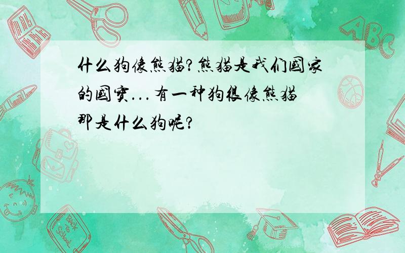 什么狗像熊猫?熊猫是我们国家的国宝...有一种狗很像熊猫那是什么狗呢?