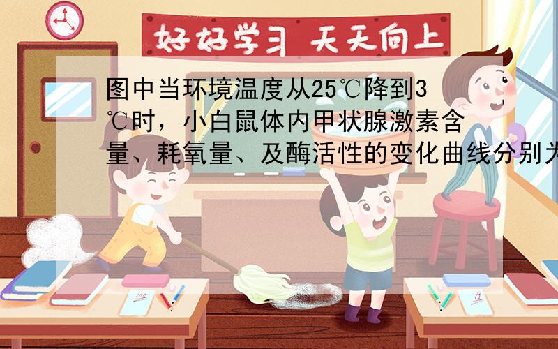 图中当环境温度从25℃降到3℃时，小白鼠体内甲状腺激素含量、耗氧量、及酶活性的变化曲线分别为（　　）