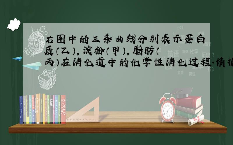 右图中的三条曲线分别表示蛋白质（乙）,淀粉（甲）,脂肪（丙）在消化道中的化学性消化过程.请据图回答: