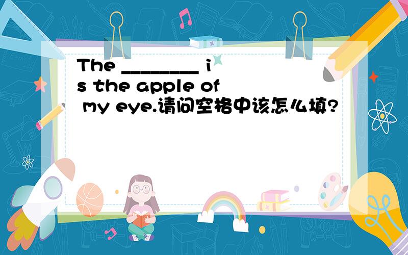 The ________ is the apple of my eye.请问空格中该怎么填?