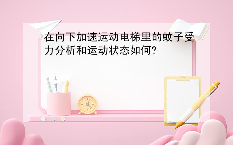 在向下加速运动电梯里的蚊子受力分析和运动状态如何?