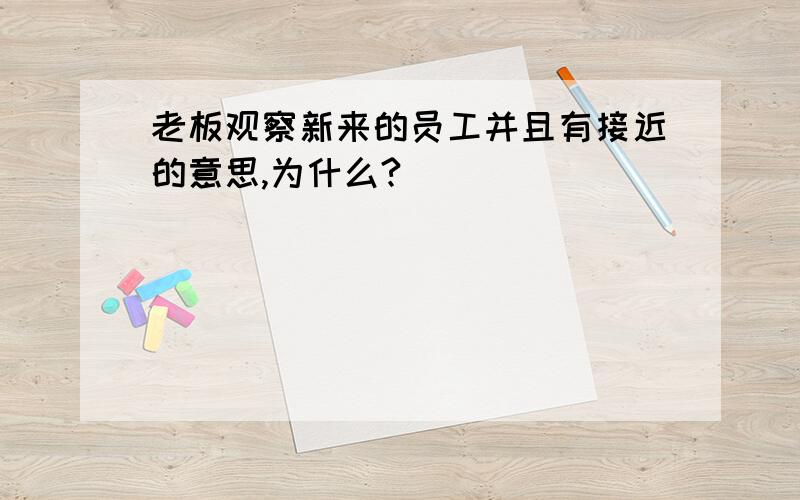 老板观察新来的员工并且有接近的意思,为什么?