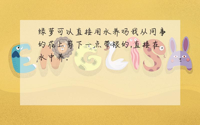 绿萝可以直接用水养吗我从同事的花上剪下一点带根的,直接在水中养．