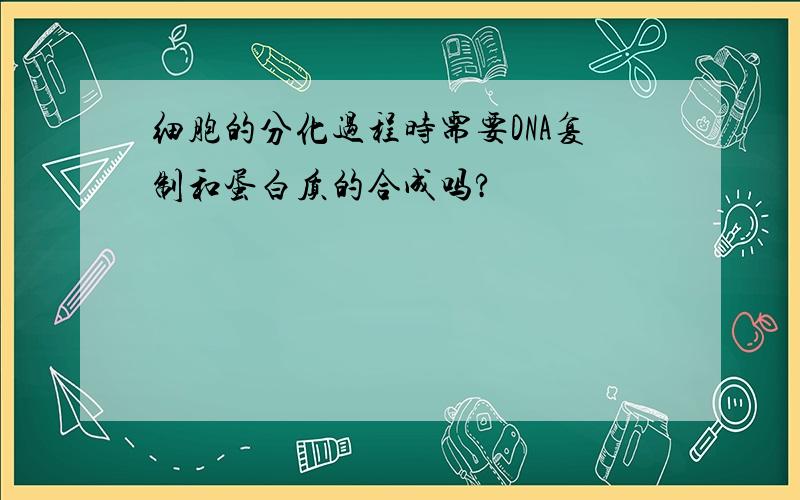 细胞的分化过程时需要DNA复制和蛋白质的合成吗?