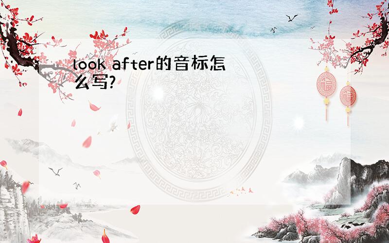 look after的音标怎么写?