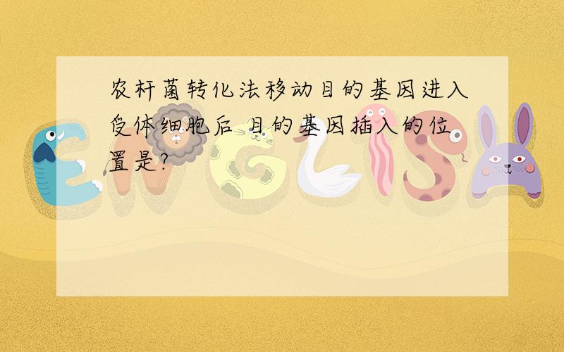 农杆菌转化法移动目的基因进入受体细胞后 目的基因插入的位置是?