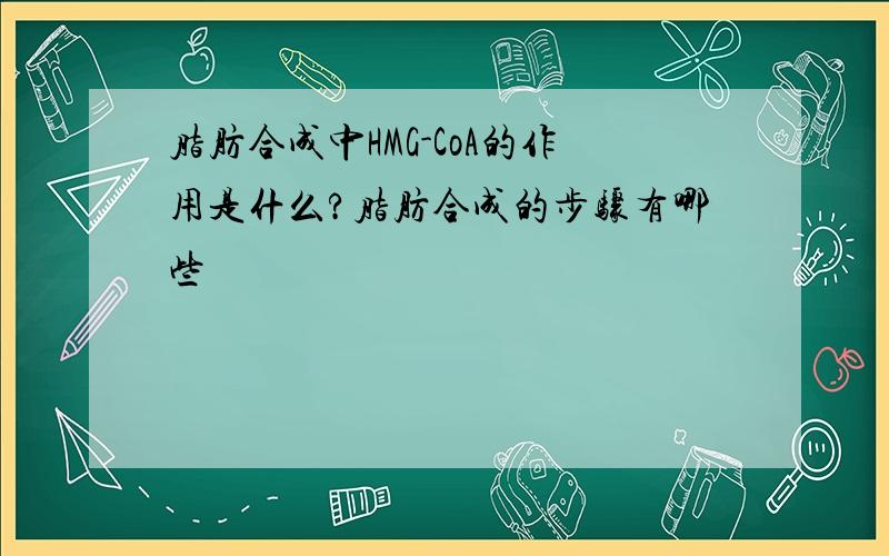 脂肪合成中HMG-CoA的作用是什么?脂肪合成的步骤有哪些