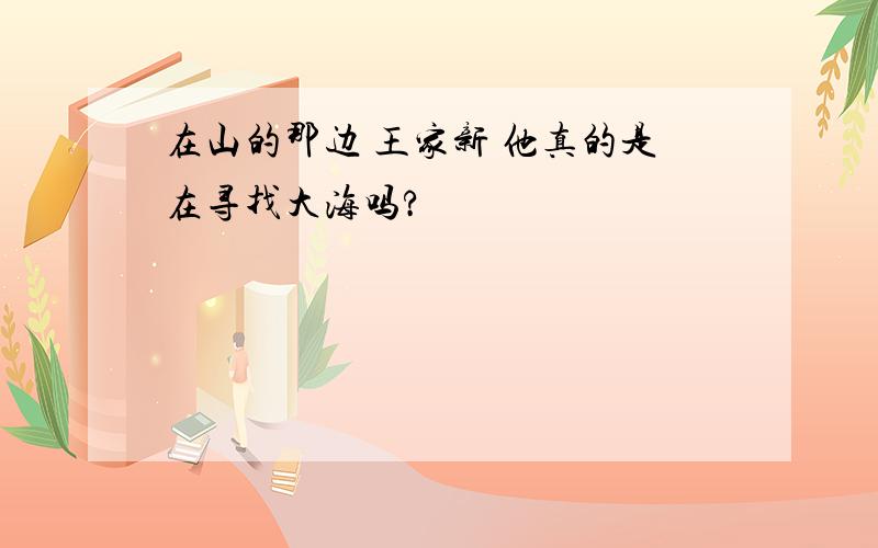 在山的那边 王家新 他真的是在寻找大海吗?