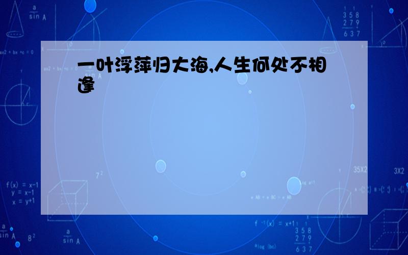 一叶浮萍归大海,人生何处不相逢