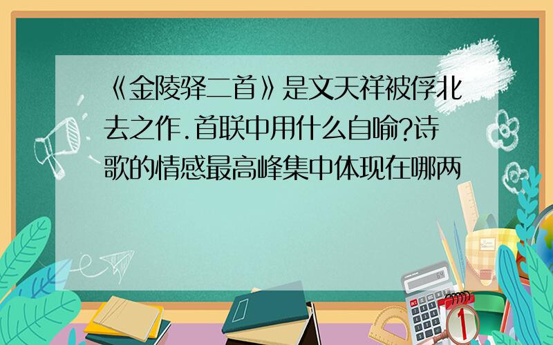 《金陵驿二首》是文天祥被俘北去之作.首联中用什么自喻?诗歌的情感最高峰集中体现在哪两