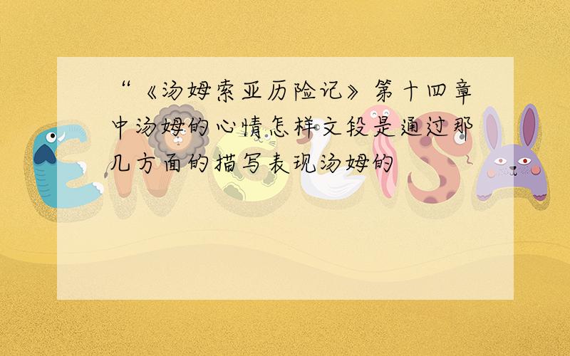 “《汤姆索亚历险记》第十四章中汤姆的心情怎样文段是通过那几方面的描写表现汤姆的