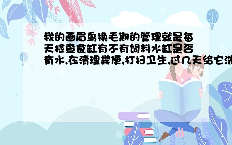 我的画眉鸟换毛期的管理就是每天检查食缸有不有饲料水缸是否有水,在清理粪便,打扫卫生,过几天给它洗洗澡,晒晒太阳,否正确请