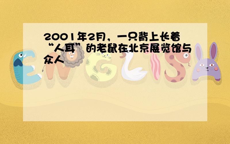 2001年2月，一只背上长着“人耳”的老鼠在北京展览馆与众人