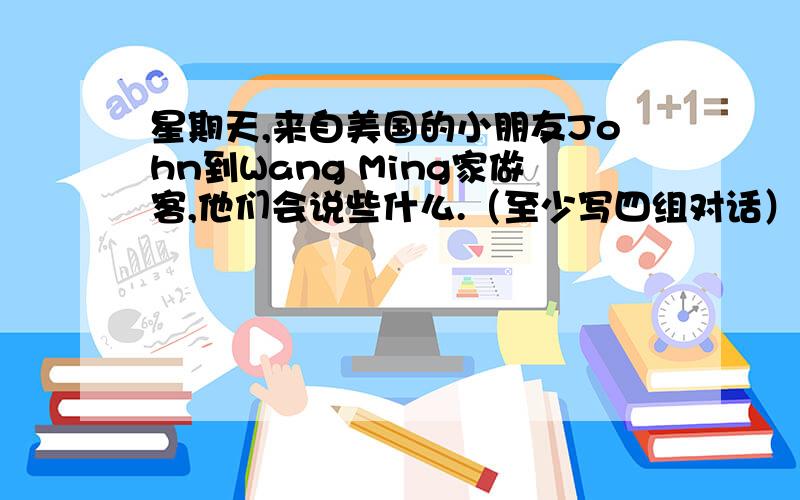 星期天,来自美国的小朋友John到Wang Ming家做客,他们会说些什么.（至少写四组对话）