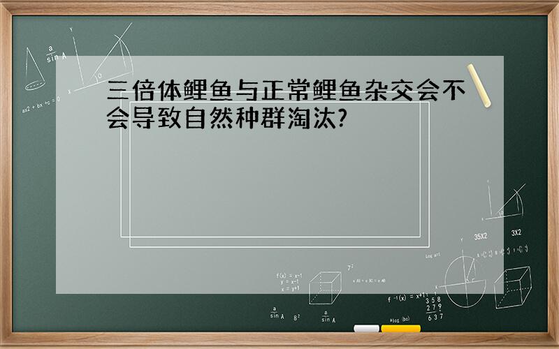 三倍体鲤鱼与正常鲤鱼杂交会不会导致自然种群淘汰?