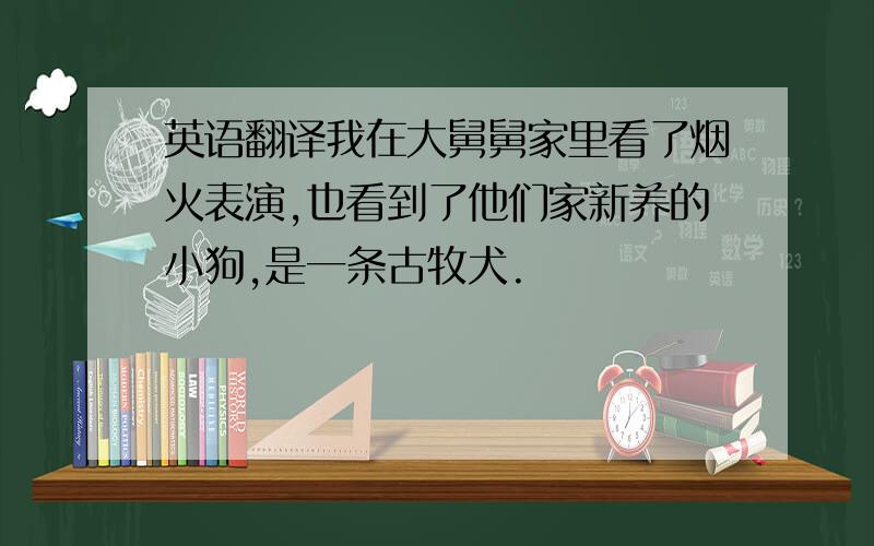 英语翻译我在大舅舅家里看了烟火表演,也看到了他们家新养的小狗,是一条古牧犬.