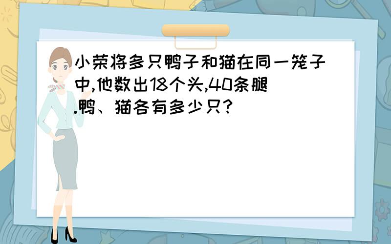 小荣将多只鸭子和猫在同一笼子中,他数出18个头,40条腿.鸭、猫各有多少只?