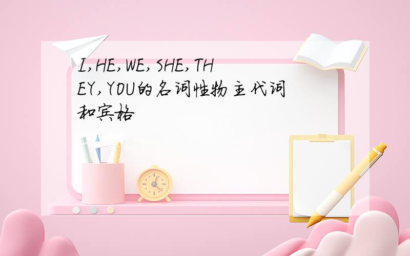 I,HE,WE,SHE,THEY,YOU的名词性物主代词和宾格