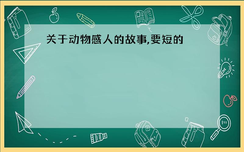 关于动物感人的故事,要短的