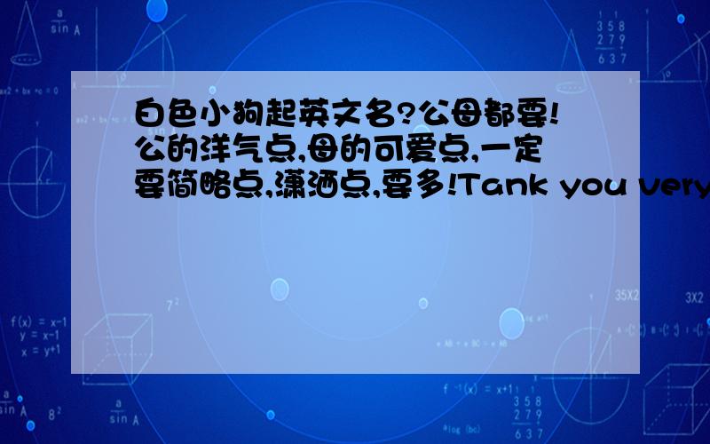 白色小狗起英文名?公母都要!公的洋气点,母的可爱点,一定要简略点,潇洒点,要多!Tank you very much!）