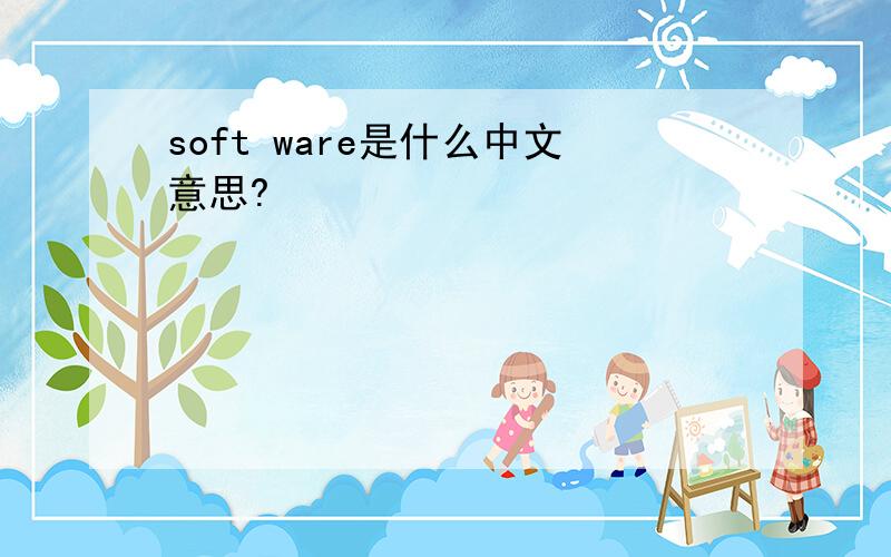 soft ware是什么中文意思?