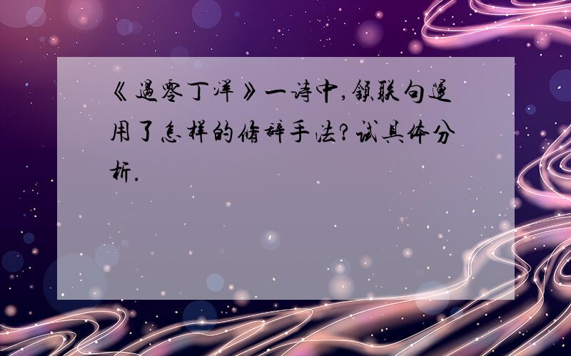 《过零丁洋》一诗中,颔联句运用了怎样的修辞手法?试具体分析.