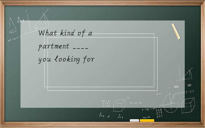 What kind of apartment ____ you looking for