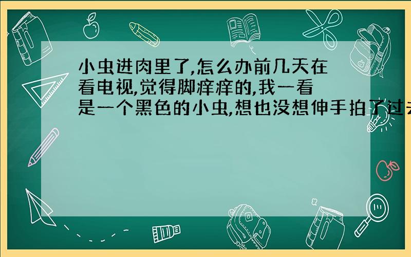 小虫进肉里了,怎么办前几天在看电视,觉得脚痒痒的,我一看是一个黑色的小虫,想也没想伸手拍了过去,可是让我觉得恐怖的是,小