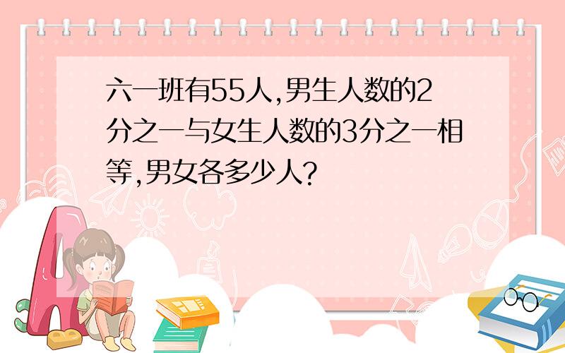 六一班有55人,男生人数的2分之一与女生人数的3分之一相等,男女各多少人?