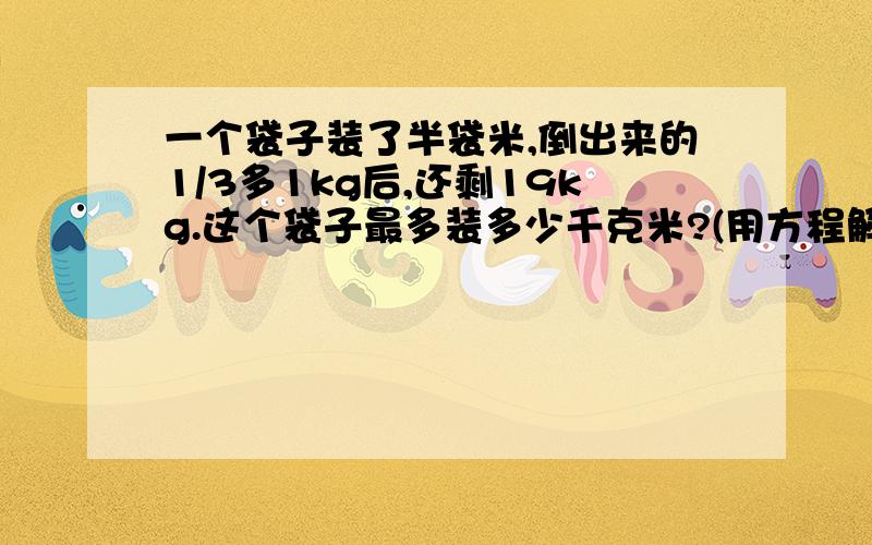 一个袋子装了半袋米,倒出来的1/3多1kg后,还剩19kg.这个袋子最多装多少千克米?(用方程解）