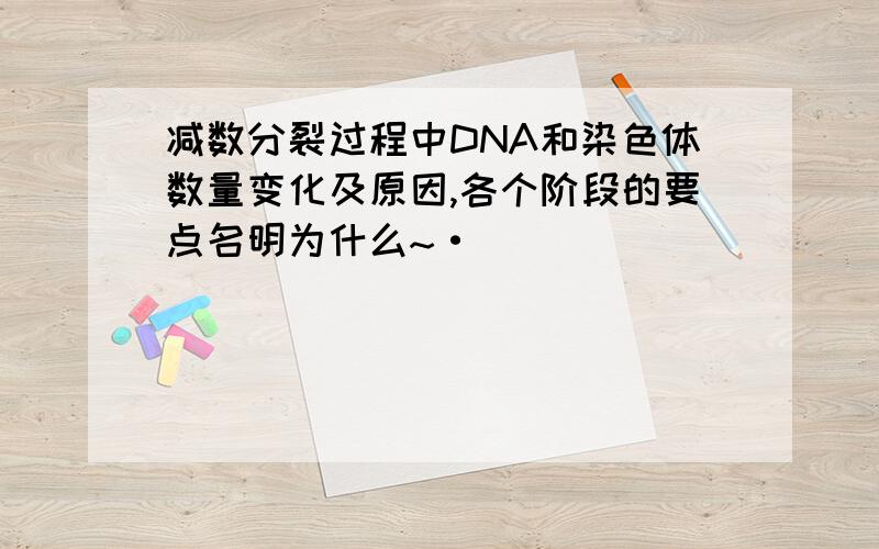 减数分裂过程中DNA和染色体数量变化及原因,各个阶段的要点名明为什么~·