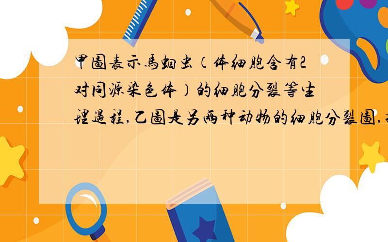 甲图表示马蛔虫（体细胞含有2对同源染色体）的细胞分裂等生理过程,乙图是另两种动物的细胞分裂图,据图分析回答：