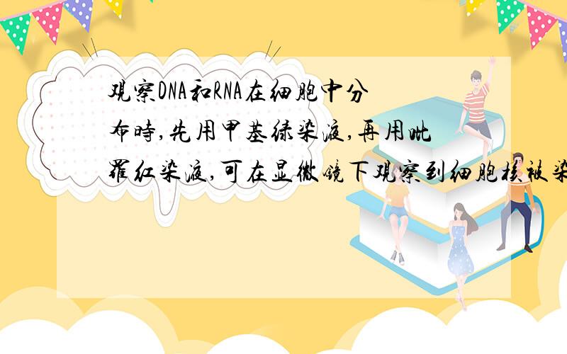 观察DNA和RNA在细胞中分布时,先用甲基绿染液,再用吡罗红染液,可在显微镜下观察到细胞核被染绿,细胞质