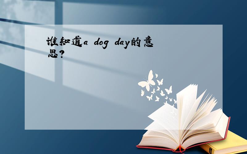 谁知道a dog day的意思?