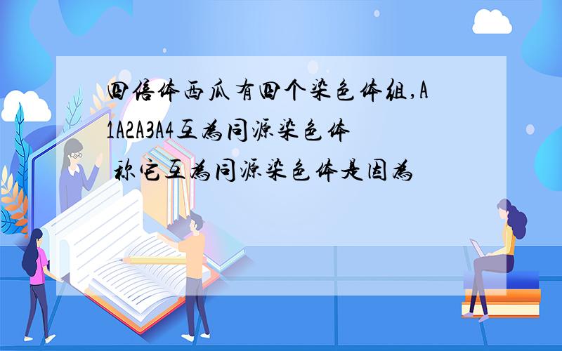 四倍体西瓜有四个染色体组,A1A2A3A4互为同源染色体 称它互为同源染色体是因为