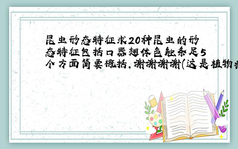 昆虫形态特征求20种昆虫的形态特征包括口器翅体色触条足5个方面简要概括,谢谢谢谢(这是植物病虫害防治的昆虫形态观察,